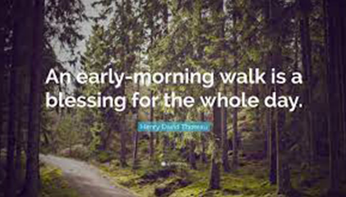 blessings-of-morning-walk---quote