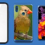 5-best-mobile-phone-covers-1001